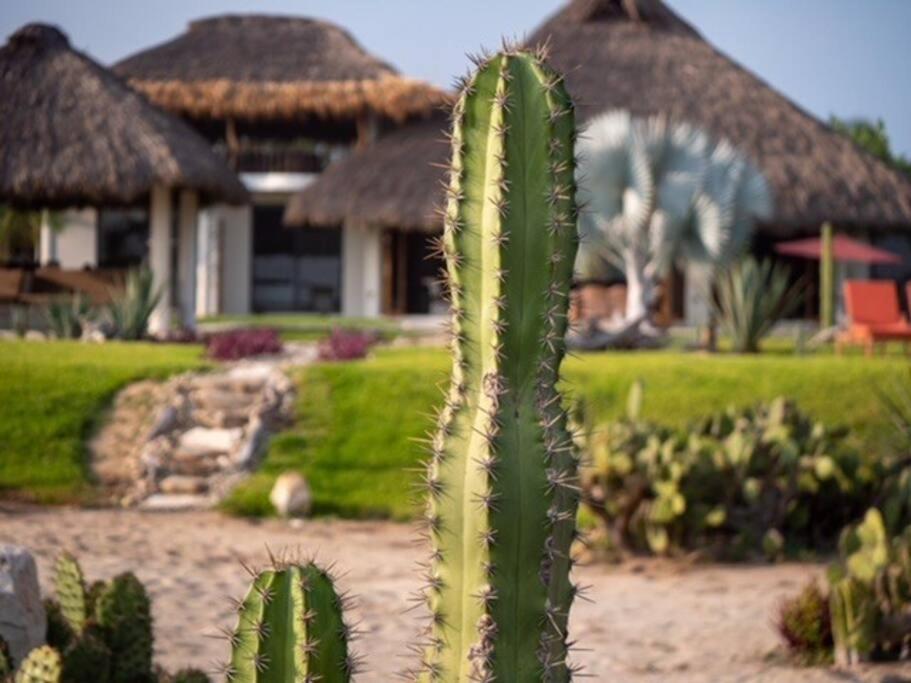 Villa De Las Rocas Puerto Escondido  Luaran gambar